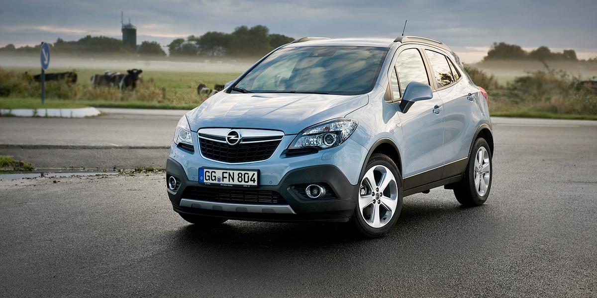 Фото автора и Opel