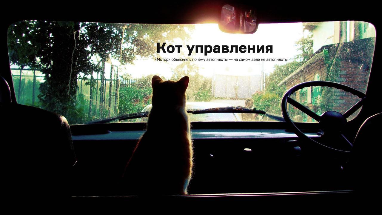Кот управления
