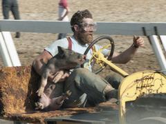 [Как Ниф-Ниф, Нуф-Нуф и Наф-Наф стали спортсменами](https://motor.ru/stories/pigdelight.htm)