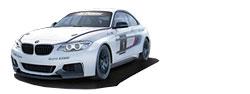 Для настоящих спортсменов в BMW разработали [гоночную версию](http://motor.ru/news/2013/12/17/bmw2/) "двушки": с 333-сильным турбомотором, развитым обвесом и омологированным каркасом. Такие машины будут использоваться в длинных гонках - разработчики говорят, что уже получили больше 30 заказов