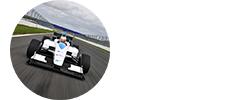 Сначала для Формулы-E было омологировано шасси [EF01](http://www.formulec.org/en/voiture_presentation.html) от компании Formulec. Однако затем было принято решение выступать на болидах Spark-Renault SRT_01E, которые [дебютировали](http://motor.ru/news/2013/05/15/fenewcar/) весной 2013 года.