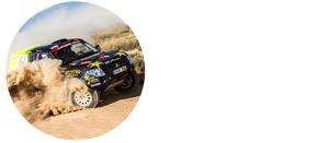 Гонки Cross Country Rally делятся на несколько видов. Больше всего в календаре кубка мира бах - относительно коротких скоростных этапов, проходящих преимущественно в Европе и занимающих один уикенд. На традиционные рейды уходит куда больше времени -- около недели. Длинные заезды проводятся, например, в Марокко и Абу-Даби.