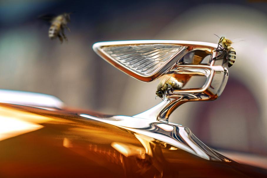 Bentley установила новый рекорд. Но не скорости