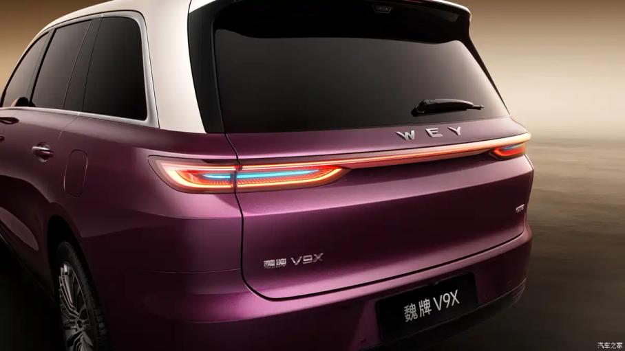 Wey V9X